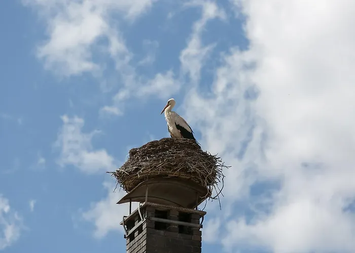 Stadthotel Zur Goldenen Krone Hotel Weiz